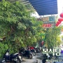 베트남 다낭 목식당, 목 해산물 식당 예약방법 및 할인, 후기