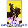 타로 마이너카드 KNIGHT of PENTACLES 나이트오브펜타클