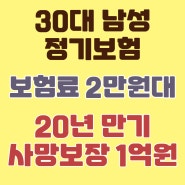 정기보험 비교로 30대 가장의 사망보험금을 준비하세요