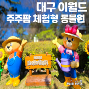 대구 이월드 아이랑 동물원 주주팜 먹이주기 체험 벚꽃축제 일정