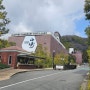 STEP 2. 오사카 2일차(산토리 야마자키 증류소, 산토리 맥주공장, 도톤보리 글리코상)