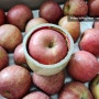아침 사과, 경북 청송 부사 사과 4.5kg 한입사과