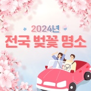 2024년 전국 벚꽃 개화시기 및 벚꽃 명소 추천 벚꽃축제 일정 정보