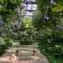 예산 수목원 - 세계꽃식물원