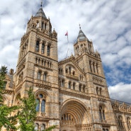 영국 런던 자유여행 자연사 박물관 도슨트 투어 예약 & 할인 Tip