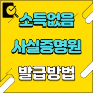 소득없음 사실증명원 발급 방법 쉽게 하세요. (소득금액증명원 포함)