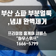 부산 쇼파 부분얼룩,냄새 완벽제거