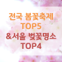 전국 봄꽃축제 TOP5&서울 벚꽃명소 TOP4