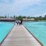 환상적 휴양지, 몰디브 3
