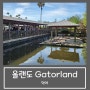 플로리다 올랜도 아이들과 가볼 만한 곳 :: gatorland 게이터랜드 악어