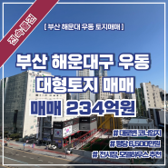 부산 해운대 우동 대형 토지 전시장 건물 매매 feat. 대로변 코너입지 빌딩