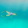 괌 프리다이빙 체험 가격 예약 방법
