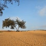 무이네 레드샌듄: 붉은 모래 사막