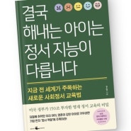 사회정서교육법 결국 해내는 아이는 정서 지능이 다릅니다 - 김소연