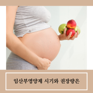 임산부영양제 시기와 권장량은