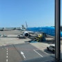 KLM 네덜란드 항공 이코노미 맨앞좌석, KL867 기내식 후기