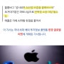 애플, 구글AI 제미니를 아이폰에 탑재?!