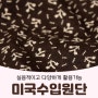 핸디퀼트[3월 3주] ♡미국수입원단/윈드햄원단/앞치마크로스끈/재단부자재♡