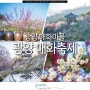 2024 광양 매화축제 전남 광양 여행 코스 매화마을 봄꽃 구경