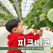 [19개월]아기랑 딸기수확체험 여주 피크니코