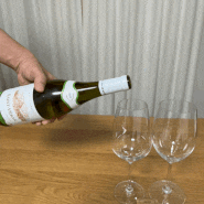 [와인 리뷰 #21] 생 베랑 에스프리 데 리유 :: 가볍게 데일리로 마실수 있는 프랑스 화이트 와인