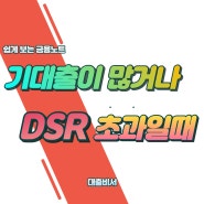 기대출이 많거나 DSR초과로 대출이 어려울땐 :) 꿀팁 ★