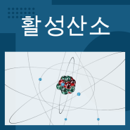 활성산소 뜻, 노화와 건강에 미치는 영향, 원인, 제거, 예방, 자유 라디칼