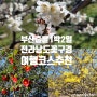 [정산] 부산출발 1박2일 전라남도 꽃구경 여행 코스 추천