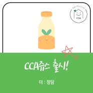 [더:정담]나혼자산다! 에 나온 CCA쥬스란?