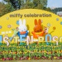 하우스텐보스 미피 셀레브레이션 (miffy celebration) 개최 중!