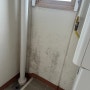 곰팡이가 심했던 집 입주청소 후기 / 곰팡이제거 전문 제로케어 청소업체
