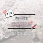 [인턴일기] 서울 벚꽃놀이 명소 추천 / 봄맞이 나들이 본격적으로 준비하기^-^