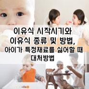 이유식 시작시기와 종류 및 방법, 아이 편식할 때 대처방법