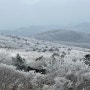 3월 한라산 윗세오름 눈꽃산행 어리목코스