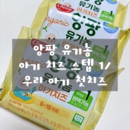 서울우유 앙팡 유기농 아기치즈 스텝1/우리 아기 첫 치즈