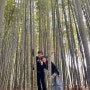 부산 근교 드라이브 나들이 가볼만 한 곳 :: 아홉산숲