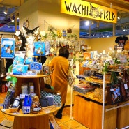 후쿠오카 여행 코스 캐널시티 와치필드 wachi field 고양이 굿즈 소품샵 일본여행