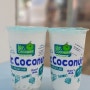 싱가포르 여행 : 싱가포르 맛집 미스터코코넛 후기 코코넛 음료