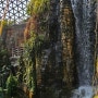 거제식물원 정글돔 폭포 석부작계곡 놀이시설 정글타워