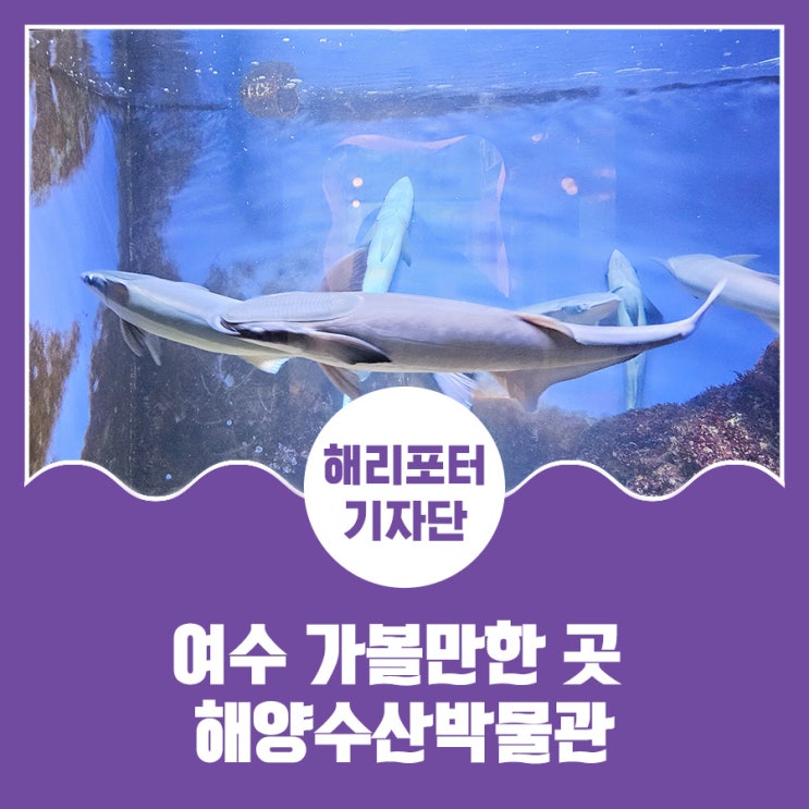 여수 가볼만한곳 해양수산박물관 : 네이버 블로그