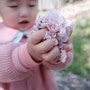 경남 고성 벚꽃 명소 대가면십리벚꽃길(23.04.02.ver)
