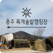 [캠핑] 아이들과 함께 충주 목계솔밭 캠핑장