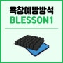 복지용구 욕창예방방석 BLESSON1 실물 리뷰