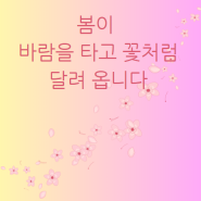 <100-74> 사춘기는 봄을 생각하는 시기이다. 당신의 사춘기는 어떠하셨나요?