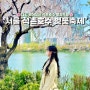 서울에서 데이트하기 좋은 벚꽃 여행지 석촌호수 벚꽃축제(송파나루공원, 롯데타워, 롯데월드)