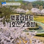 서울대공원 리프트 벚꽃 1호선과 2호선 알아보기