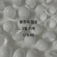 봉쥬의 일상. 24년 3월 기록(2주차)