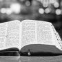네비게이토 성경공부 ㅡ 하나님의 말씀에 의한 생활