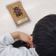 여주곤충박물관 - 곤충학자가 꿈인 아들과 주말나들이