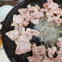 동두천 솥뚜껑 베이컨 수풀림식당 부대찌개도 맛있어!